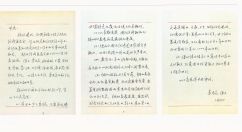 确立“调整、改革、整顿、提高”的经济工作方针