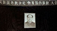 国内保险业务恢复