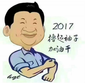 流行志：撸起袖子加油干