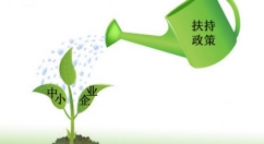 《国务院关于进一步促进中小企业发展的若干意见》发布