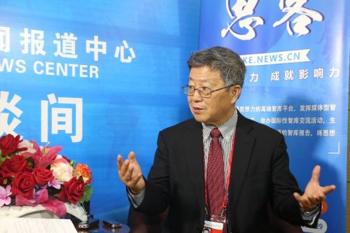 资料图片：迟福林接受新华网思客专访　新华网郭建伟 摄