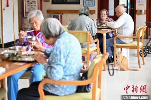 广州市南沙区养老院长者在用餐 陈骥旻 摄