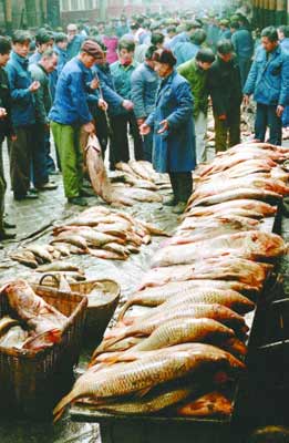 改革开放30年纪念:1984年商品经济写入党的决议